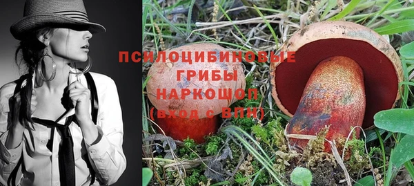 мяу мяу мука Кулебаки
