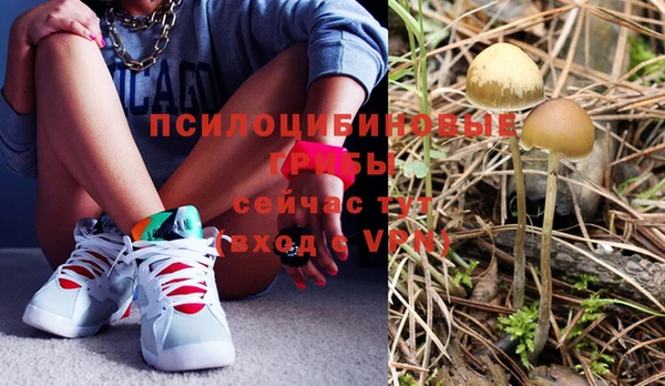 мет Кукмор