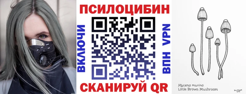 Галлюциногенные грибы Psilocybine cubensis  наркота  Череповец 